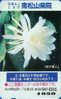 TC Japon Fleur CACTUS - KAKTUS Blume TK - Japan Flower Phonecard 72 - Blumen