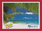 E-Ile Maurice-01P Plage Du Nord Ile Maurice, Embarcations, Excellent état - Mauricio