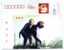 ENTIER POSTAL CHINE  STATIONERY SINGE MONKEY - Affen