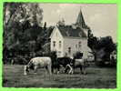 DALHEM, BELGIQUE - LE CASTELET - ANIMÉE DE VACHES - ÉDITION A. DECLERCQ - - Dalhem