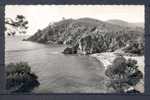 CAVALAIRE Sur MER   Num 29      Bon Porteau       La Plage Et Les Calanques       Le 20 9 1956 - Cavalaire-sur-Mer