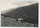 Chieti-Bosco Sella Di Fondi(m1350) Con La Mayelletta(m1930) - Chieti