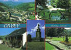 Carte Postale 68.  Orbey  Trés Beau Plan - Orbey