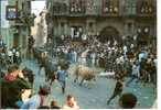 PAMPLONA - TAUREAUX ET GARCONS COURANTS DANS LA RUE - Navarra (Pamplona)