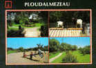 Carte Postale 29. Ploudalmezeau  Trés Beau Plan - Ploudalmézeau