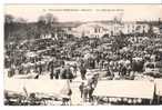 17 -  SAUJON -  Le Champ De Foire - Animée : Jour De Marché Aux Bestiaux Devant Le Café-Restaurant De L´Union - Saujon