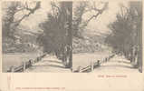 CPA STEREO TYROL - Allee In Innsbruck - Stereoscope Cards