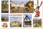 Région - La Sologne (6 Vues Dont Chasse à Courre à Cheverny - Centre-Val De Loire