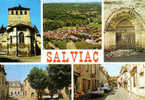 Carte Postale 46. Salviac Trés Beau Plan - Salviac