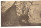 Cartes Postales (36) ANSICHTKAART GROTTE DE REMOUCHAMPS - Aywaille