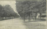 CPA CAMP DE CHALONS - L'ALLEE CENTRALE - Camp De Châlons - Mourmelon