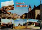 CPSM.  SARREBOURG. 5 VUES. DATEE 1972. - Sarrebourg