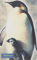 Télécarte AUSTRALIE - Faune Antarctique - Oiseau MANCHOT EMPEREUR - PENGUIN BIRD AUSTRALIA Phonecard - PINGUIN - 92 - Australia