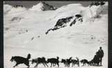 Grindelwald Jungfraujoch Attelage Traineau 1963 - Grindelwald