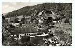 Cpsm Schwarzwald BAUERNHAUS Bei HORNBERG - Ferme En Foret Noire - Schorndorf