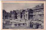 LOT-KO , SYRIE , BAALBEK , Temple De Jupiter - Syrie