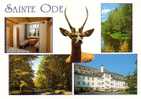 Vakantiecentrum St Ode Aviscourt Amberloup - Sainte-Ode