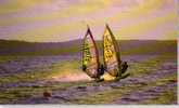 PLANCHE A VOILE - Sailing