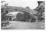 04 // CASTELLANE, Vieux Pont Sur Le Verdon, CPSM  9 X 14 Ed Clarfond - Castellane