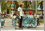 Jolie CP Bahamas Constable On Traffic Duty Nassau - Police Policier Circulation Taxi Cheval Carriole - Pas écrite - Bahamas