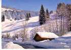 NEIGE ET SOLEIL -  Le Châlet Sous La Neige  - - Rhône-Alpes