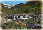 CPSM. PYRENEES . REGARD SUR LA NATURE. - Midi-Pyrénées