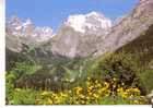 IMAGE DE MONTAGNE -  Splendeur Des Hauts Sommets -grande Casse Vue De Pralognan Signée : René Gérard - Rhône-Alpes