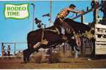 CPM     ETATS UNIS      NEBRASKA       BRAHMA BULL RIDING - Other & Unclassified