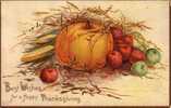 Best Wishes -Thanksgiving - Citrouille Pumpkin Corn Fruit - Written 1910 (?) - 2 Scans - Giorno Del Ringraziamento