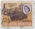 Rhodésie Du Sud 1964. ~ YT  94. - Buffle - Southern Rhodesia (...-1964)