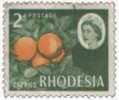 Rhodésie Du Sud 1966. ~ YT 131. - Citrons - Rhodesië (1964-1980)