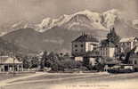 SALLANCHES - Le Village Et Le Mont Blanc - Sallanches