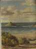 - BORD DE MER . HUILE SUR CARTON SIGNEE . TITREE "COASTAL SCENERY NEWQUAY ET RESIGNEE A L´ENCRE SUR UN 2e CARTON - Huiles