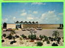 ST. PETERSBURG, FL. - MUNICIPAL BUILDING - ANIMATED OLD CARS - - St Petersburg