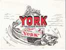 YORK - Y