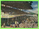 ST.PETERSBURG, FL - TYPICAL CROWD AT DERBY LANE - KENNEL CLUB - ANIMATED - - St Petersburg