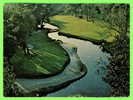 SPORTS. GOLF - AMELIA ISLAND,FL. - AMELIA´S OAKMARSH COURSE, No 8th FAIRWAY - TRAVEL IN 1984 - - Golf