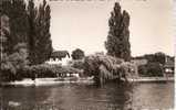 HAUTE SAVOIE-ref No 74598- Messery - Les Bords Du Lac -hotel De La Pointe Dans La Verdure   - Bon Etat - Messery