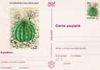 Rum013a/ RUMÄNIEN - GA-Karte 1997 Mit Kaktus, Markeneindruck/Illustration(cactus(cacto) - Covers & Documents