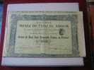 ACTION & TITRE : MINES DE FEDJ EL ADOUM SOCIETE /1913 / SCRIPOPHILIE - Miniere