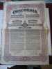 ACTION & TITRE : CONCORDIA  SOCIETE ANONYME ROUMAINE  POUR L ' INDUSTRIE DU PETROLE  /1924 / SCRIPOPHILIE - Oil