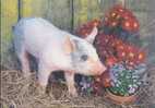 Little Pig - Petits Porc - Blue Butt Pig, Japan Postcard - A - Cochons
