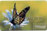 @+ Carte Démonstration Datacard : Papillon - Butterflies