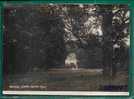 WEIMAR - GOETHE GARTEN HAUS  - CPA - UNUSED POSTCARD - Written In 1928 - Cut 1cm At Right - Weimar