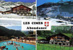 Carte Postale  74.  Le Val D´Abondance "Les Cimes"  Richebourg Mr. Girard Soppet Albert  Trés Beau Plan - Abondance