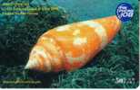 THAILAND  50 BAHT  SHELL  SHELLS  ORANGE   INDIAN OCEAN 1990  READ DESCRIPTION !! - Thaïlande