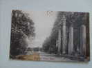 Windsor. - Virginia Water Ruins. ( 22 - 8 - 1908 ) - Windsor