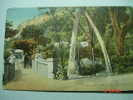 5033 GIBRALTAR  WHALE JAWS ARCH BRIDGE -  AÑOS / YEARS / ANNI 1910 - Gibraltar