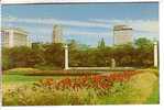 GOOD USA POSTCARD - CHICAGO - Grant Park - Chicago