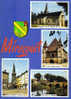 Carte Postale 88. Mirecourt Trés Beau Plan - Mirecourt